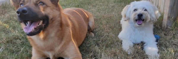 Profile cover